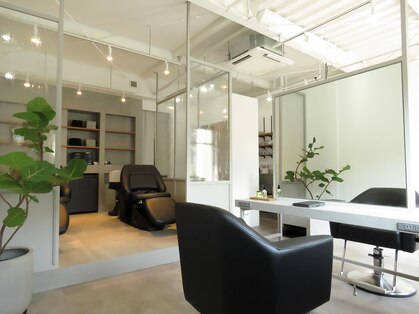 アオフジヘアー(AoFuji-hair)の写真