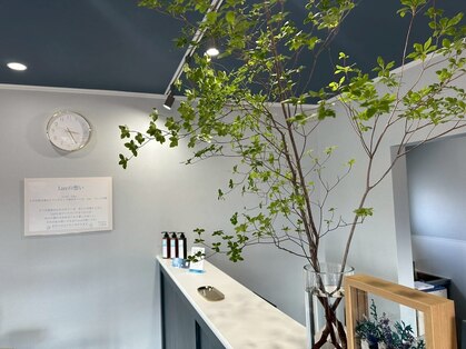 ラヴ(Luv)の写真