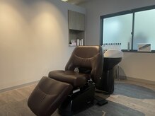 テラ(Terra)の雰囲気（夢シャンのフルフラットシャンプー台で極上のシャンプーtimeを）