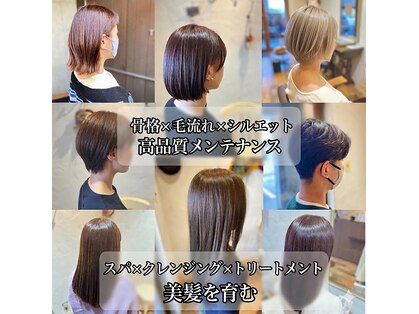 ティクエ(TIQUE)の写真