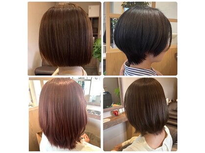 オジギヘアー(ojigi hair)の写真