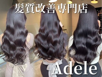 アデル 青山(Adele)の写真