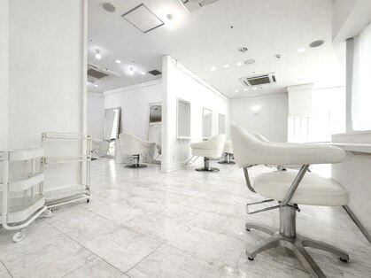 トイロ(toiro)の写真