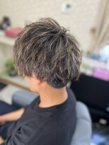 クラウンプリンセス(Crown Princess)&nbsp;メンズメッシュ