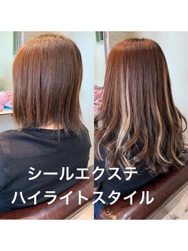 レーヴ ヘアー シエル(Reve hair ciel) シールエクステハイライト １０代/２０代/３０代/４０代