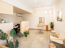 トコ(toco)の雰囲気(緑と光が心地よい明るい店内)