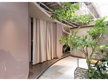 サロンド ノワ 本通(salon de Noix)の雰囲気（緑を感じる落ち着いた半個室空間）