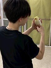 アンチェ(Anche)&nbsp;片岡 支歩里