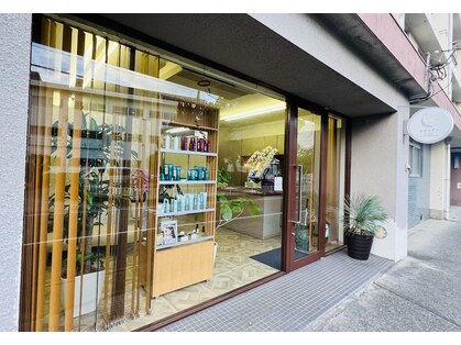 カウムディ(Kaumudi)の写真