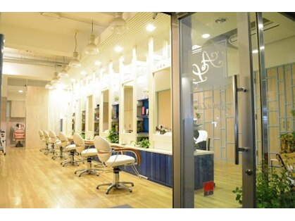アクアライム(Aqua Lime)の写真