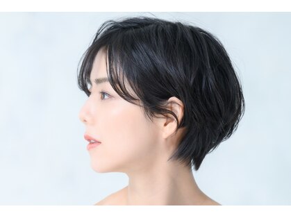 キャットテイル(Cat Tail)の写真