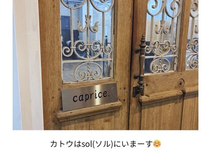 カプリス(caprice)の写真