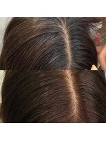 バイシーン(bysheen)&nbsp;白髪染めリタッチ（2cm,2ヶ月）