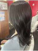 オリーブアッシュからー