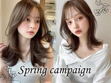 フォルテステラ(FORTE STELLA)