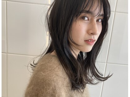 エース(Ace)の写真