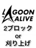 ★イケメン必須★ 2ブロック or 刈り上げ  ¥1160