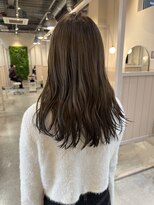 シダ(sida)&nbsp;エンドカラー「透明感winterグレージュ」