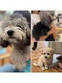 髪の病院トウキョウ 自由が丘(髪の病院TOKYO) 犬好きです！ペットと一緒にご来店可能です。