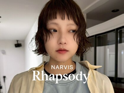 ナービス ラプソディー(NARVIS Rhapsody)の写真