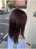 【amule hair】艶っぽワインレッド