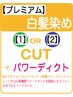 【プレミアム】【1】OR【2】+高濃度トリートメント※ダブルトリートメント