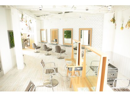 リンダバイネオリーブ 白楽店(Linda by neolive)の写真