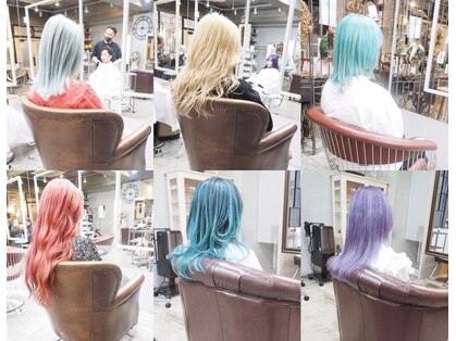 コニ(Coni)の写真