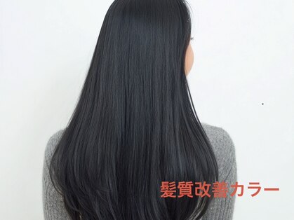 リリー(Liliy)の写真