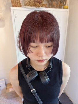 シエル 一社(cher) 顎ラインボブ×カシスカラー