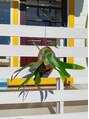 ヒア(HiA) 観葉植物を育ててます!アドバイス、ご教授をお願い致します!