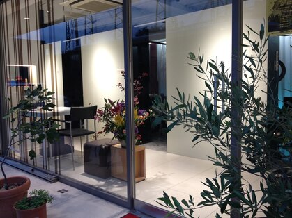 デラモード ピア2の写真