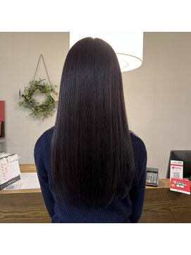 パームス(Palms) ラベンダーカラー