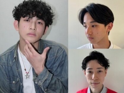 ヘアーオーパスの写真