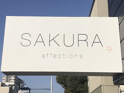 サクラ(SAKURA)の写真