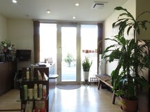 オズ(O'z)の雰囲気（グリーン溢れる明るい店内/キャッシュレス対応［白髪染め］）