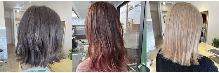 エルヴィータ(Elvita)のサロンヘッダー