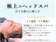 レイジーアワーズ(Lazy Hours)の写真