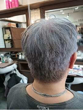 ルピナス(Lupinus) アッシュショート