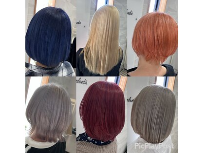 リベルター(Libertad)の写真