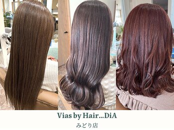 Vias by Hair…DiAみどり店