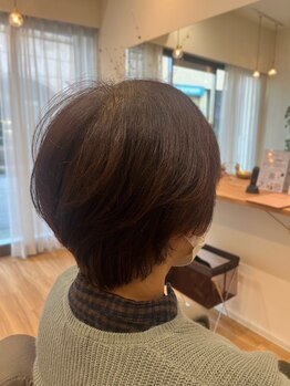 【越前町】カラーで沁みる方必見！アルカリフリーの香草カラーで染めるたび綺麗な髪、頭皮へ◎