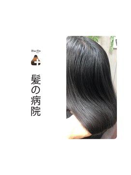 ブルーフィン シセロ(Blue Fin cicero) 髪質改善/ツヤ髪セミ/暗髪黒髪/透明感艶カラー/20代30代髪型