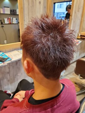 コンフィ(Confit) レッドブラウン　2ブロベリーショート