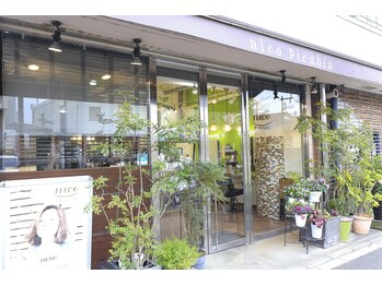 nico picabia 【ニコ ピカビア】