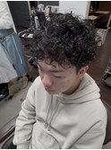 プードルパーマ