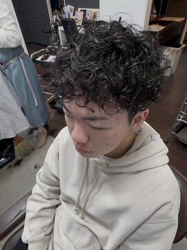 ルシードスタイルウィンズ(LUCIDO STYLE WINS) プードルパーマ