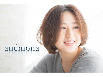 アネモナ(anemona)の写真