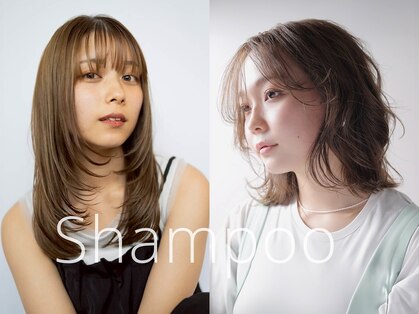 シャンプー(Shampoo)の写真