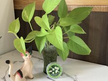 ツインズ アクトスリー 高木瀬店(ツインズ ACTスリー)の雰囲気（厳選された店販商品もご用意しております♪）